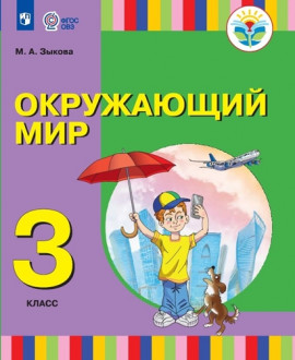 Окружающий мир. 3 «Б» класс